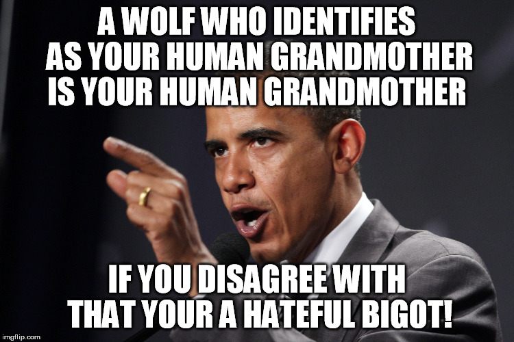 A WOLF WHO IDENTIFIES AS YOUR HUMAN GRANDMOTHER IS YOUR HUMAN GRANDMOTHER IF YOU DISAGREE WITH THAT YOUR A HATEFUL BIGOT! | made w/ Imgflip meme maker