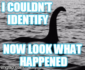 lochmess | I COULDN'T IDENTIFY; NOW LOOK WHAT HAPPENED | image tagged in loch ness monster,memes | made w/ Imgflip meme maker