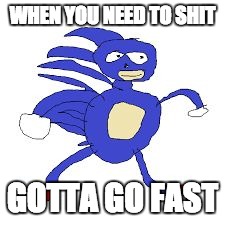 WHEN YOU NEED TO SHIT; GOTTA GO FAST | image tagged in sanic | made w/ Imgflip meme maker