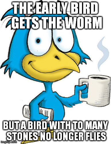 Sometimes stones look like worms in the early hours. | THE EARLY BIRD GETS THE WORM; BUT A BIRD WITH TO MANY STONES NO LONGER FLIES | image tagged in life lessons,memes | made w/ Imgflip meme maker