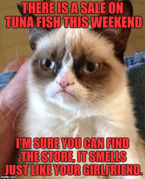 Grumpy Cat Meme | THERE IS A SALE ON TUNA FISH THIS WEEKEND; I'M SURE YOU CAN FIND THE STORE, IT SMELLS JUST LIKE YOUR GIRLFRIEND. | image tagged in memes,grumpy cat | made w/ Imgflip meme maker