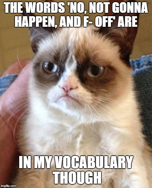 Grumpy Cat Meme | THE WORDS 'NO, NOT GONNA HAPPEN, AND F- OFF' ARE IN MY VOCABULARY THOUGH | image tagged in memes,grumpy cat | made w/ Imgflip meme maker