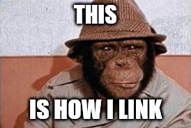 THIS IS HOW I LINK | made w/ Imgflip meme maker