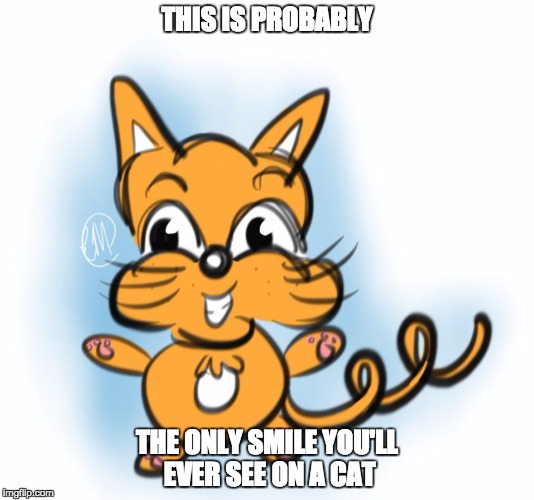 THIS IS PROBABLY; THE ONLY SMILE YOU'LL EVER SEE ON A CAT | image tagged in cat | made w/ Imgflip meme maker
