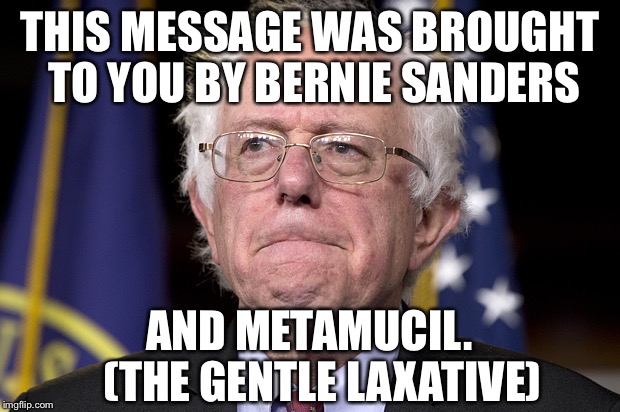 Bernie Sanders |  THIS MESSAGE WAS BROUGHT TO YOU BY BERNIE SANDERS; AND METAMUCIL.   (THE GENTLE LAXATIVE) | image tagged in bernie sanders | made w/ Imgflip meme maker