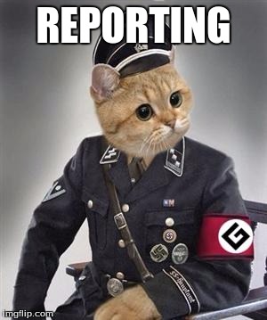 gramer notzi | REPORTING | image tagged in gramer notzi | made w/ Imgflip meme maker