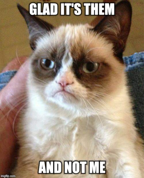 Grumpy Cat Meme | GLAD IT'S THEM AND NOT ME | image tagged in memes,grumpy cat | made w/ Imgflip meme maker