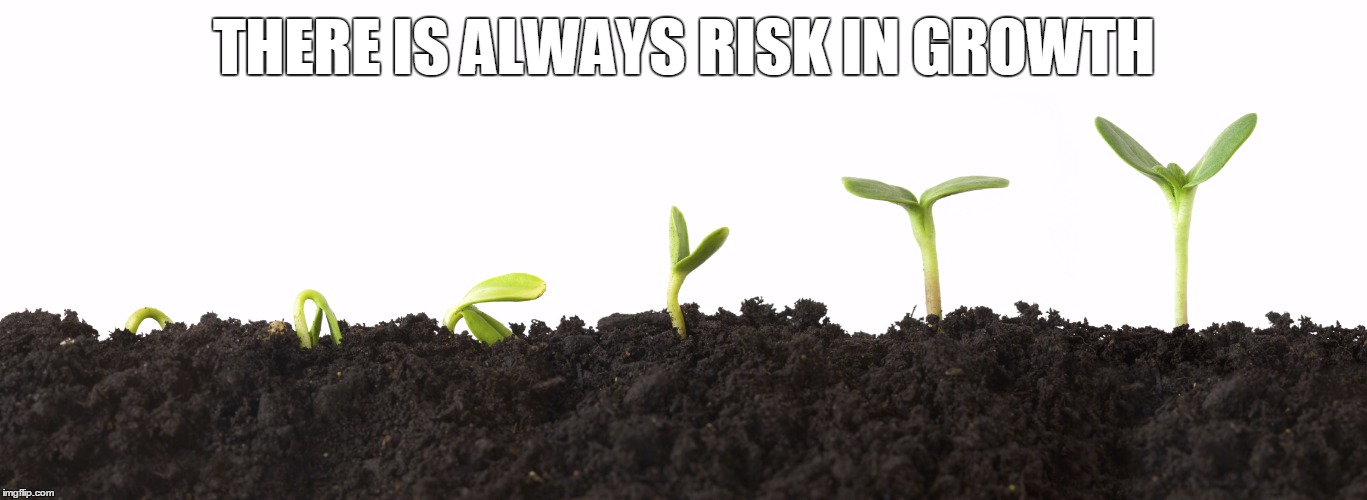 THERE IS ALWAYS RISK IN GROWTH | image tagged in growth | made w/ Imgflip meme maker