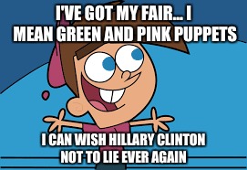 I'VE GOT MY FAIR... I MEAN GREEN AND PINK PUPPETS I CAN WISH HILLARY CLINTON NOT TO LIE EVER AGAIN | made w/ Imgflip meme maker