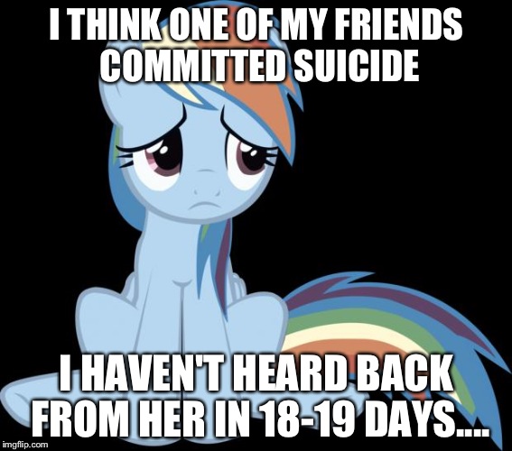 I THINK ONE OF MY FRIENDS COMMITTED SUICIDE; I HAVEN'T HEARD BACK FROM HER IN 18-19 DAYS.... | image tagged in sad rainbow dash | made w/ Imgflip meme maker