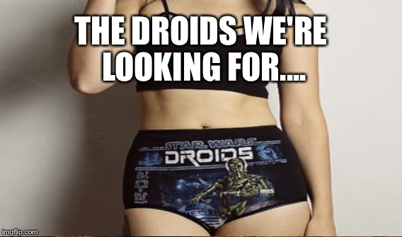 THE DROIDS WE'RE LOOKING FOR.... | made w/ Imgflip meme maker