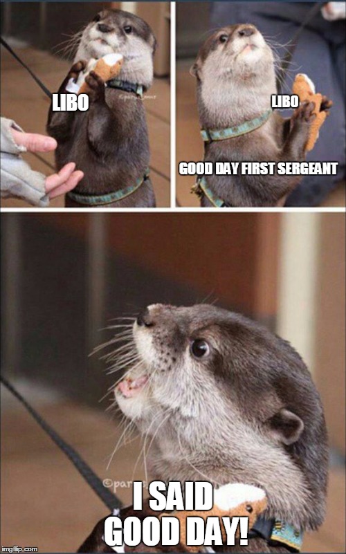 I Said Good Day Sir Otter | LIBO; LIBO; GOOD DAY FIRST SERGEANT; I SAID GOOD DAY! | image tagged in i said good day sir otter | made w/ Imgflip meme maker