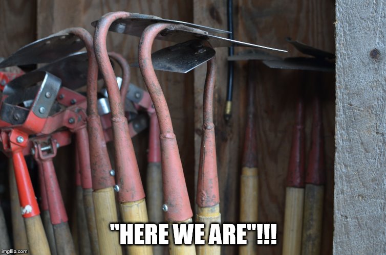 Hoes | "HERE WE ARE"!!! | image tagged in hoes | made w/ Imgflip meme maker