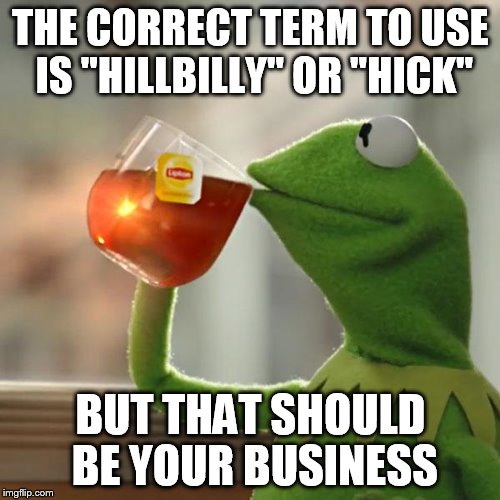 But That's None Of My Business Meme | THE CORRECT TERM TO USE IS "HILLBILLY" OR "HICK" BUT THAT SHOULD BE YOUR BUSINESS | image tagged in memes,but thats none of my business,kermit the frog | made w/ Imgflip meme maker