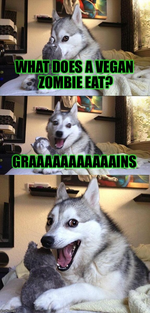 Vegan Zombies... | WHAT DOES A VEGAN ZOMBIE EAT? GRAAAAAAAAAAAINS | image tagged in memes,bad pun dog | made w/ Imgflip meme maker