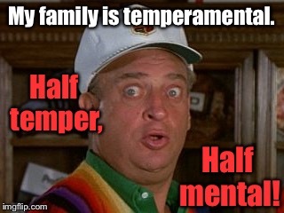Why I get no respect. | My family is temperamental. Half temper, Half mental! | image tagged in meme,rodney dangerfield,tempermental | made w/ Imgflip meme maker