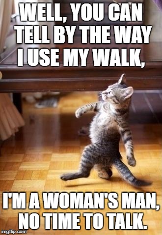 Cool Cat Stroll | WELL, YOU CAN TELL BY THE WAY I USE MY WALK, I'M A WOMAN'S MAN, NO TIME TO TALK. | image tagged in memes,cool cat stroll | made w/ Imgflip meme maker