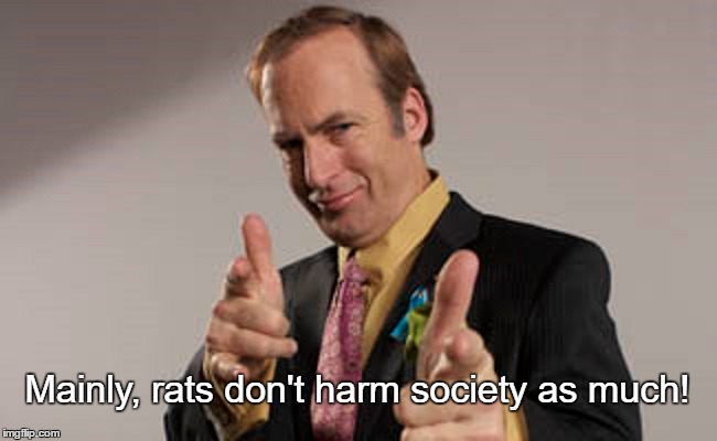 Mainly, rats don't harm society as much! | made w/ Imgflip meme maker