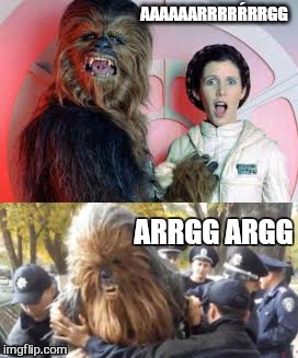 its a trap | AAAAAARRRRŔRRGG ARRGG ARGG | image tagged in memes,star wars,star wars meme,star wars no,it's a trap | made w/ Imgflip meme maker