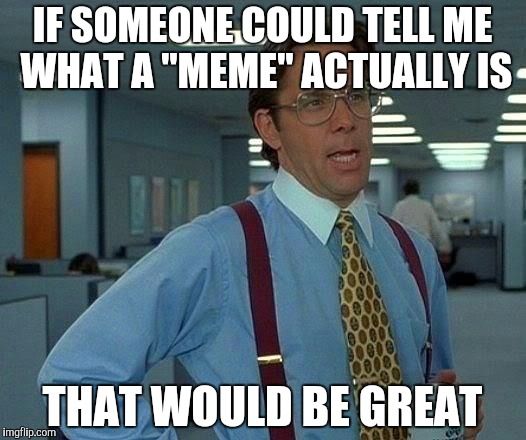 That Would Be Great | IF SOMEONE COULD TELL ME WHAT A "MEME" ACTUALLY IS; THAT WOULD BE GREAT | image tagged in memes,that would be great | made w/ Imgflip meme maker
