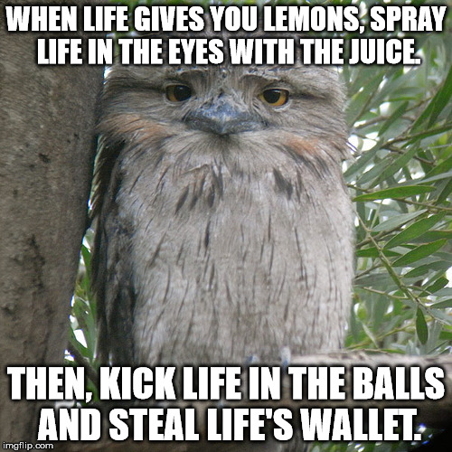 That'll Teach Life What it Gets for Giving You Free Produce! | WHEN LIFE GIVES YOU LEMONS, SPRAY LIFE IN THE EYES WITH THE JUICE. THEN, KICK LIFE IN THE BALLS AND STEAL LIFE'S WALLET. | image tagged in wise advice potoo | made w/ Imgflip meme maker