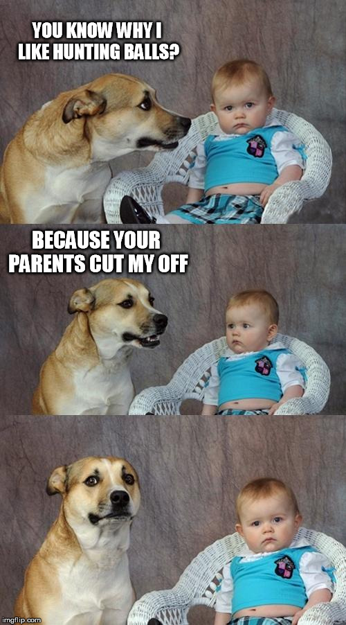 Dad Joke Dog | YOU KNOW WHY I LIKE HUNTING BALLS? BECAUSE YOUR PARENTS CUT MY OFF | image tagged in memes,dad joke dog | made w/ Imgflip meme maker