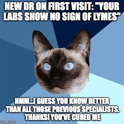 Chronic illness cat | NEW DR ON FIRST VISIT: "YOUR LABS SHOW NO SIGN OF LYMES"; HMM...I GUESS YOU KNOW BETTER THAN ALL THOSE PREVIOUS SPECIALISTS. THANKS! YOU'VE CURED ME | image tagged in chronic illness cat | made w/ Imgflip meme maker