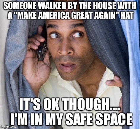 conspiracy carl | SOMEONE WALKED BY THE HOUSE WITH A "MAKE AMERICA GREAT AGAIN" HAT; IT'S OK THOUGH.... I'M IN MY SAFE SPACE | image tagged in conspiracy carl | made w/ Imgflip meme maker