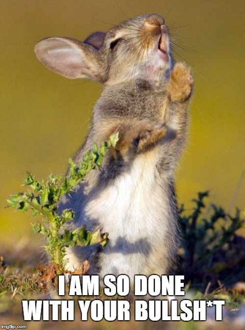 Rabbit is done with your bullshit | I AM SO DONE WITH YOUR BULLSH*T | image tagged in angry bunny,bunny,bunnies,rabbit,rabbits,displeased bunny | made w/ Imgflip meme maker