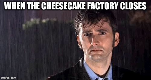 doctor who rain | WHEN THE CHEESECAKE FACTORY CLOSES | image tagged in doctor who rain | made w/ Imgflip meme maker