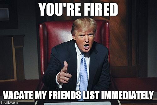 Donald Trump You're Fired | YOU'RE FIRED; VACATE MY FRIENDS LIST IMMEDIATELY | image tagged in donald trump you're fired | made w/ Imgflip meme maker