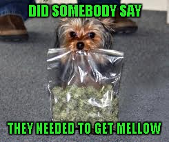 DID SOMEBODY SAY THEY NEEDED TO GET MELLOW | made w/ Imgflip meme maker