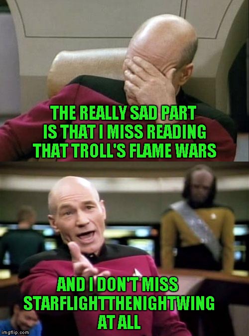 THE REALLY SAD PART IS THAT I MISS READING THAT TROLL'S FLAME WARS AND I DON'T MISS STARFLIGHTTHENIGHTWING AT ALL | made w/ Imgflip meme maker