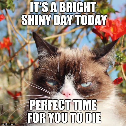 Bright, Shiny, and Deadly. | IT'S A BRIGHT SHINY DAY TODAY; PERFECT TIME FOR YOU TO DIE | image tagged in grumpy cat,memes | made w/ Imgflip meme maker
