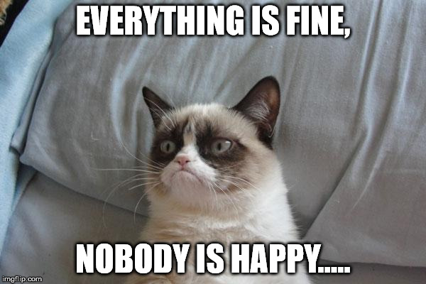 Grumpy Cat Bed Meme | EVERYTHING IS FINE, NOBODY IS HAPPY..... | image tagged in memes,grumpy cat bed,grumpy cat | made w/ Imgflip meme maker