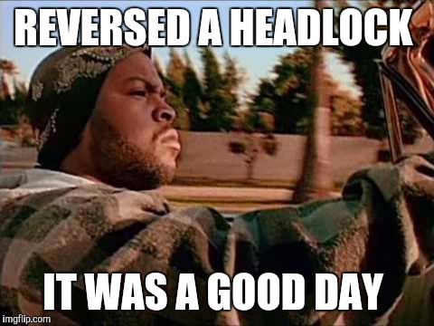 Judo works | REVERSED A HEADLOCK; IT WAS A GOOD DAY | image tagged in ice cube | made w/ Imgflip meme maker