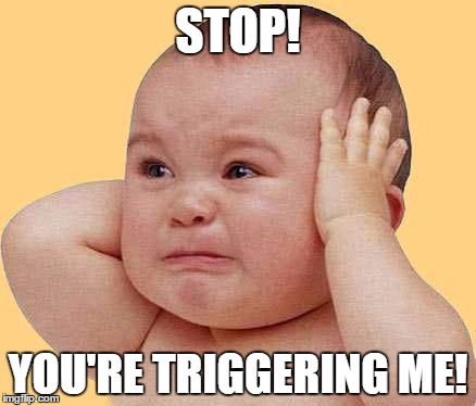 SJW Baby | STOP! YOU'RE TRIGGERING ME! | image tagged in sjw baby | made w/ Imgflip meme maker