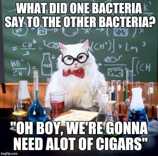 Mitosis Joke | WHAT DID ONE BACTERIA SAY TO THE OTHER BACTERIA? "OH BOY, WE'RE GONNA NEED ALOT OF CIGARS" | image tagged in memes,chemistry cat,funny | made w/ Imgflip meme maker