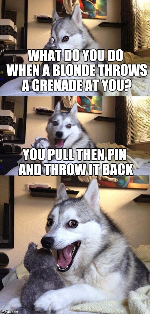 Bad Pun Dog Meme | WHAT DO YOU DO WHEN A BLONDE THROWS A GRENADE AT YOU? YOU PULL THEN PIN AND THROW IT BACK | image tagged in memes,bad pun dog | made w/ Imgflip meme maker