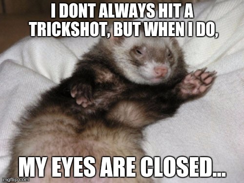 I DONT ALWAYS HIT A TRICKSHOT, BUT WHEN I DO, MY EYES ARE CLOSED... | image tagged in ferret sleepy | made w/ Imgflip meme maker