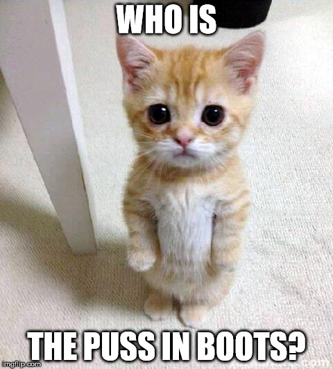 Cute Cat | WHO IS; THE PUSS IN BOOTS? | image tagged in memes,cute cat | made w/ Imgflip meme maker