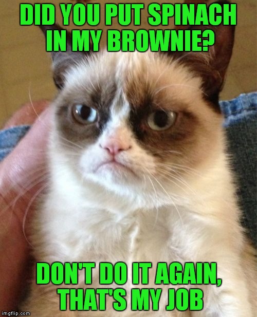Grumpy Cat Meme | DID YOU PUT SPINACH IN MY BROWNIE? DON'T DO IT AGAIN, THAT'S MY JOB | image tagged in memes,grumpy cat | made w/ Imgflip meme maker