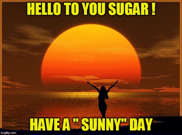 HELLO TO YOU SUGAR ! HAVE A " SUNNY" DAY | made w/ Imgflip meme maker