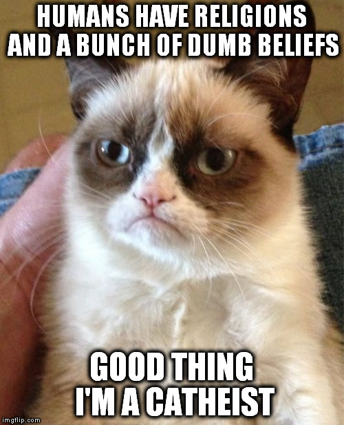 Grumpy Cat Meme | HUMANS HAVE RELIGIONS AND A BUNCH OF DUMB BELIEFS; GOOD THING I'M A CATHEIST | image tagged in memes,grumpy cat | made w/ Imgflip meme maker