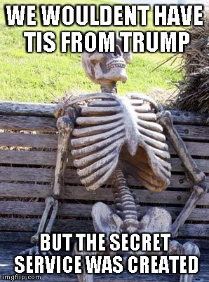 Waiting Skeleton Meme | WE WOULDENT HAVE TIS FROM TRUMP; BUT THE SECRET SERVICE WAS CREATED | image tagged in memes,waiting skeleton | made w/ Imgflip meme maker