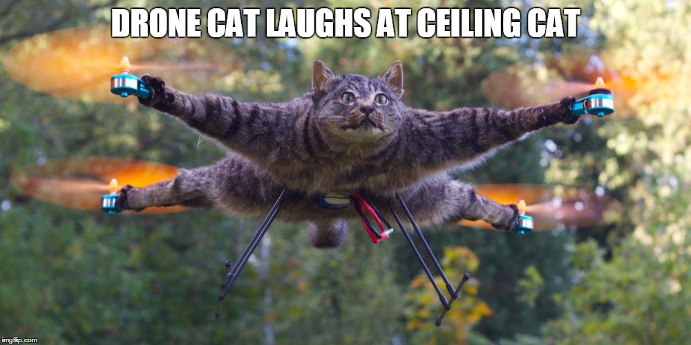 DRONE CAT LAUGHS AT CEILING CAT | made w/ Imgflip meme maker