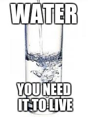 water | WATER; YOU NEED IT TO LIVE | image tagged in water | made w/ Imgflip meme maker