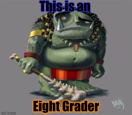 This is an; Eight Grader | image tagged in memes | made w/ Imgflip meme maker