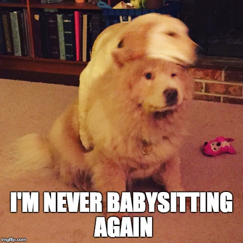 I'M NEVER BABYSITTING AGAIN | made w/ Imgflip meme maker