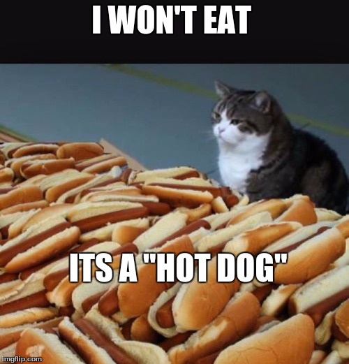 Cat hotdogs | I WON'T EAT; ITS A "HOT DOG" | image tagged in cat hotdogs | made w/ Imgflip meme maker
